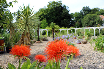 Botanischer Garten in Bad Langensalza
