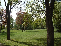 im Heinrich-Heine-Park