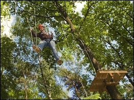 Kletterwald Koala