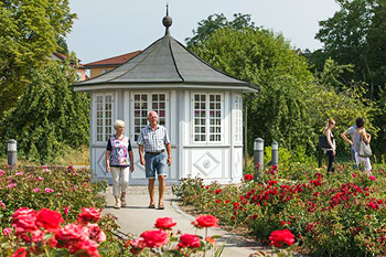 Rosengarten in Bad Langensalza