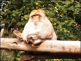 Tierpark Bad Liebenstein