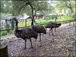 Tierpark Bad Liebenstein
