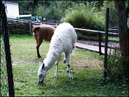 Tierpark Bad Liebenstein