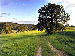 Impressionen vom Weidatal