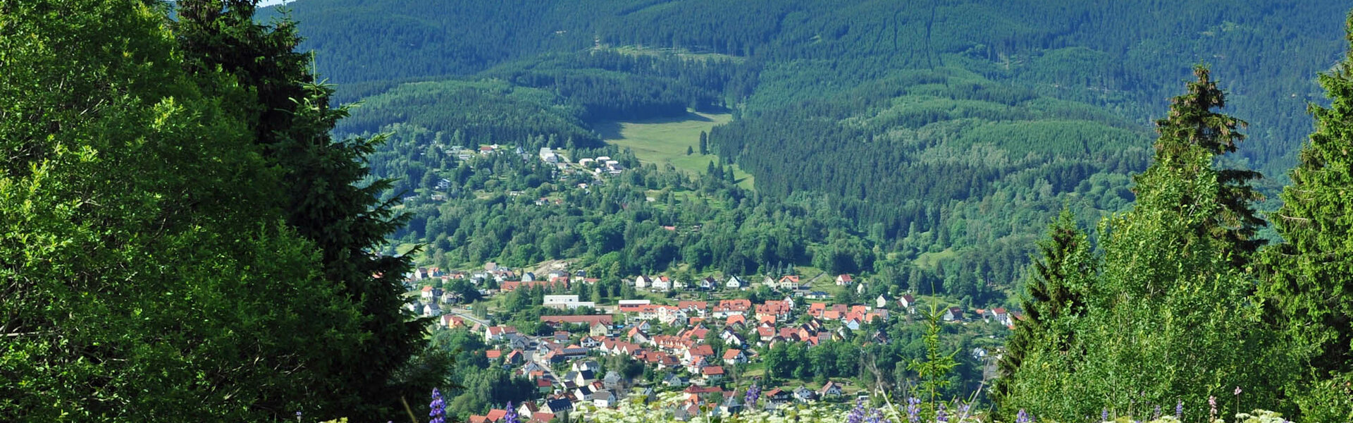 Goldlauter-Heidersbach