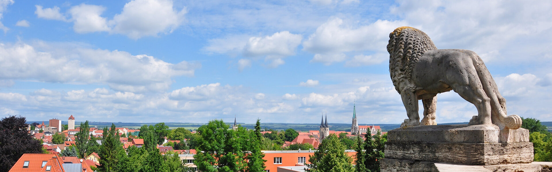 Blick über Mühlhausen