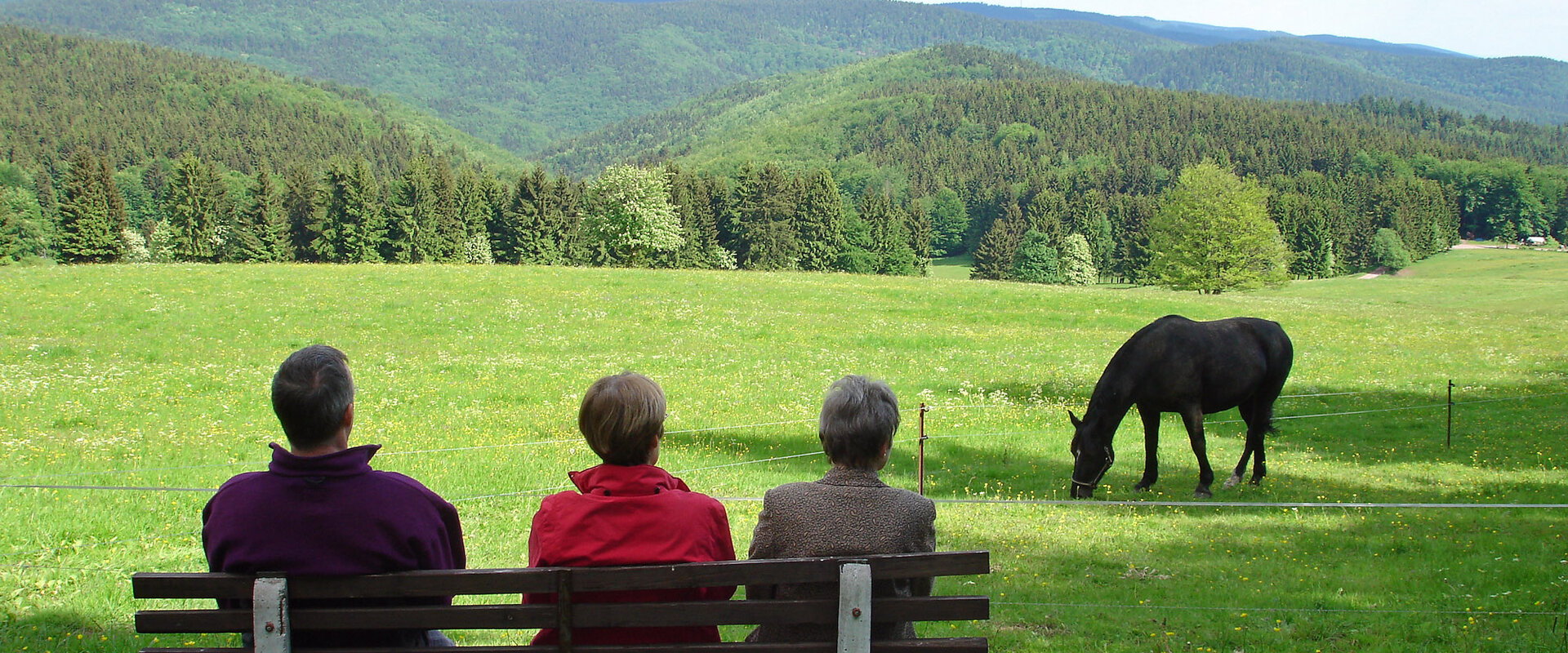 Thüringer Wald - Infos