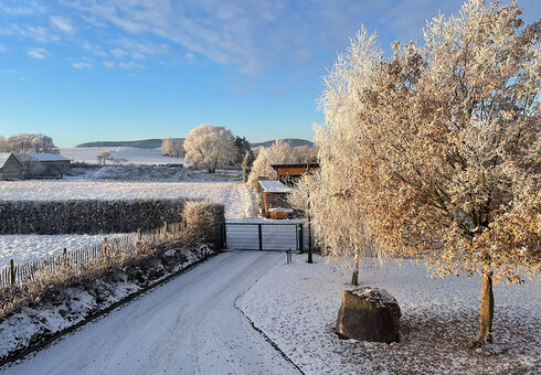 Winterimpression