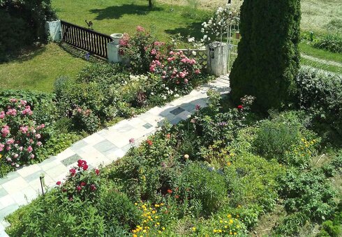 Im Garten