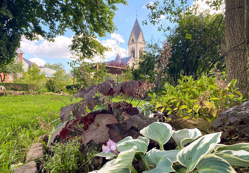 Blick in den Garten