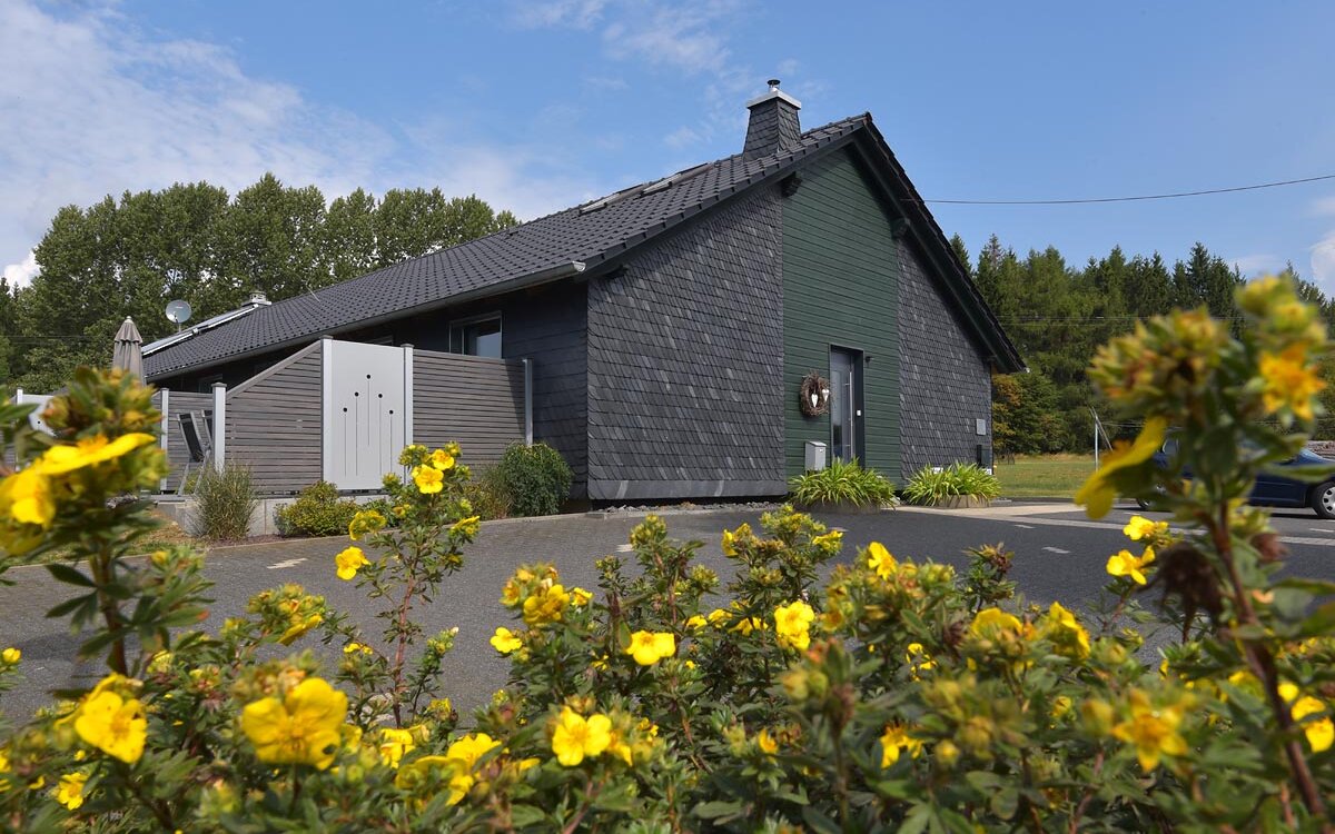 Ferienwohnung-Lissy-Brennersgruen-Panorama