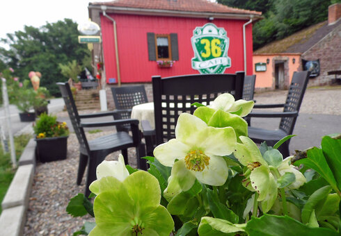 Bikeroase Cafe 36