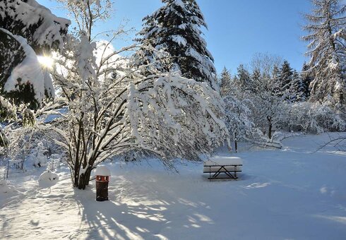 verschneiter Garten im Winter