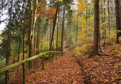 Natur pur