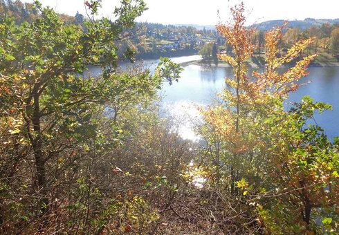 Blick auf den Bleilochstausee