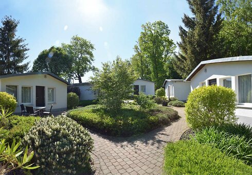Pension Fessel, Hayn