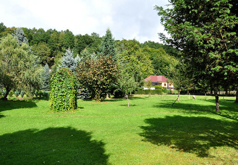 Garten mit Liegewiese