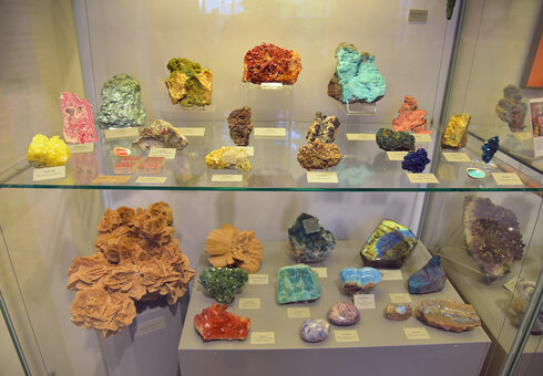 Naturhistorisches Museum