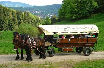 Pferdeschlitten- und Planwagenfahrten Oberhof