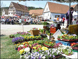 Freilichtmuseum Hohenfelden - Museumsfest