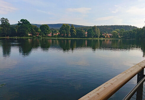 Der Hammerteich bei Georgenthal