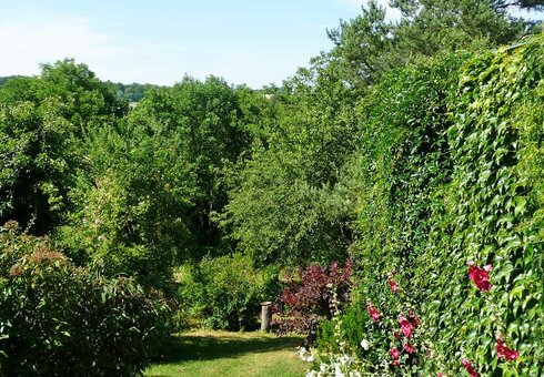 Im Garten