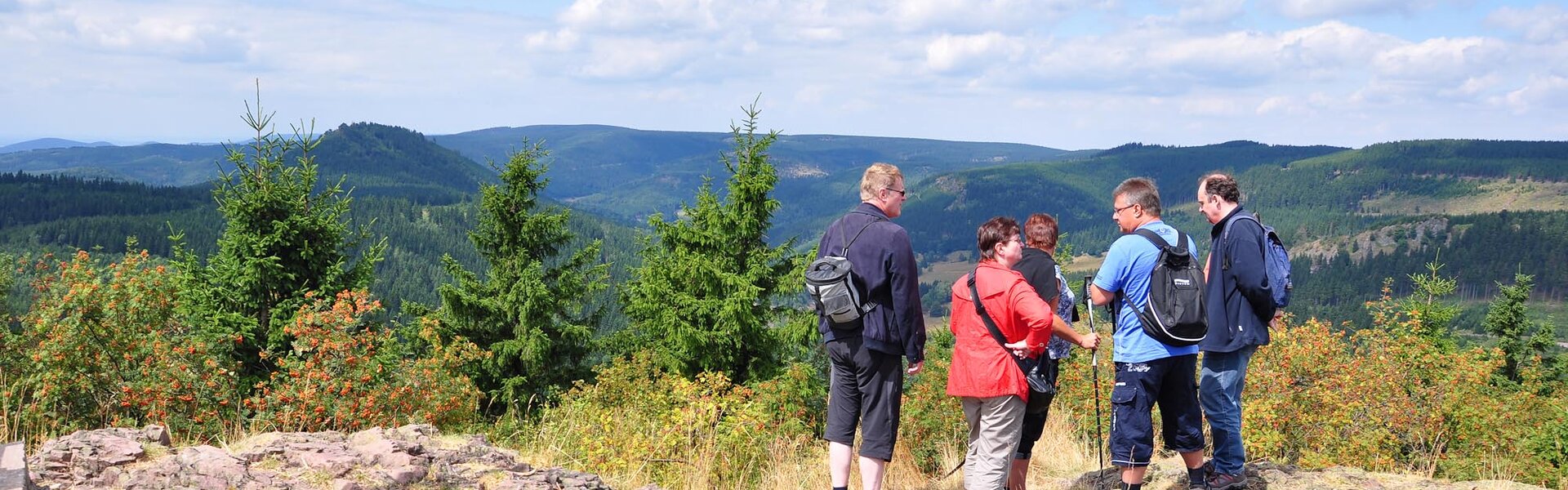 Wandergruppe auf dem Ruppberg