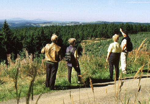 Wandern im Thüringer Wald