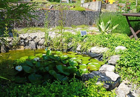 Blick in den Garten