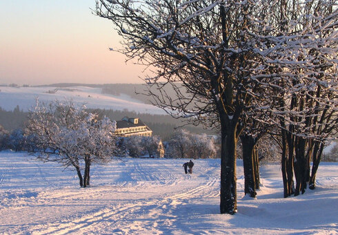 Schnett im Winter