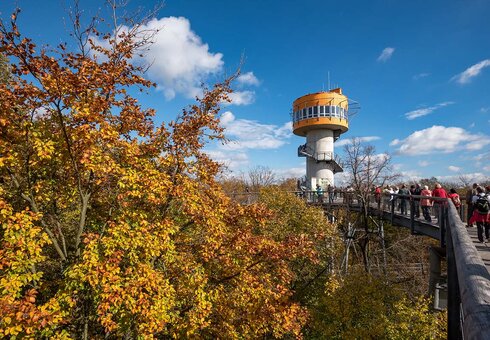 Der Baumkronenpfad im Nationalpark Hainich