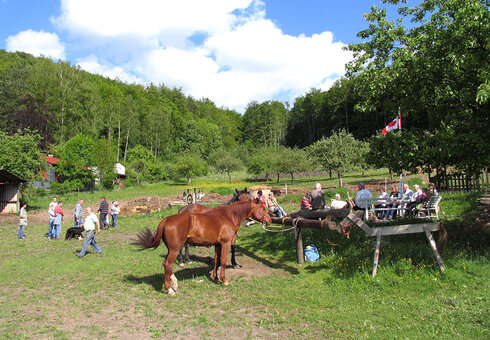 Reit- und Ferienpark Dörrensolz