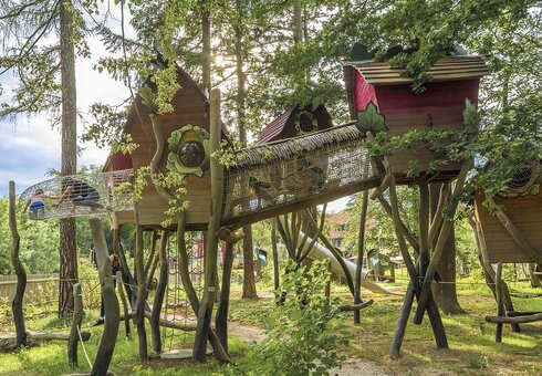 Abenteurwildnis Im Reich des Fagati
