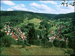 Blick auf den Ort Gießübel