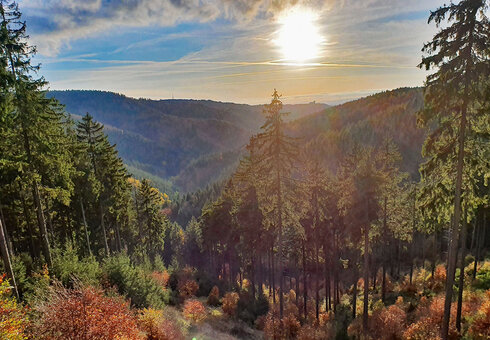 Landschaft zwischen Suhl und Schmiedefeld a. 