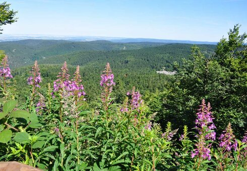 Landschaft unweit der Ferienhäuser