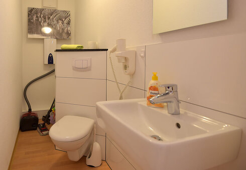Beispiel große Fewo (weiteres WC)
