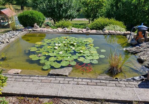 Gartenteich