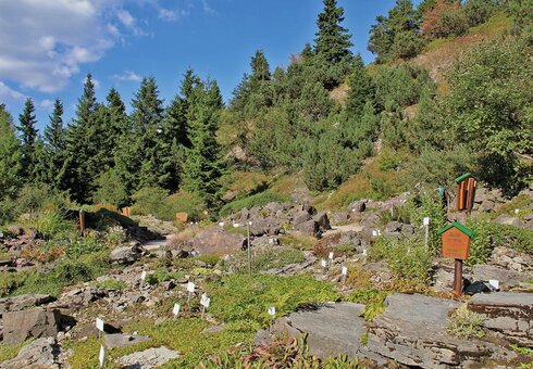 Rennsteiggarten Oberhof