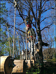 Kletterwald Koala