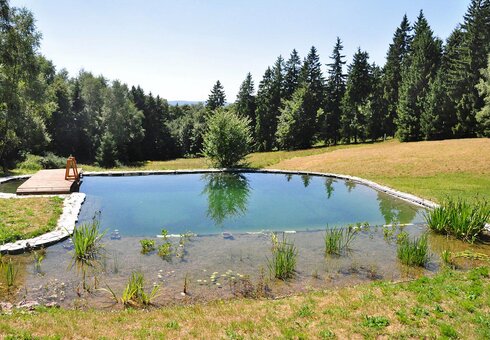 Teich