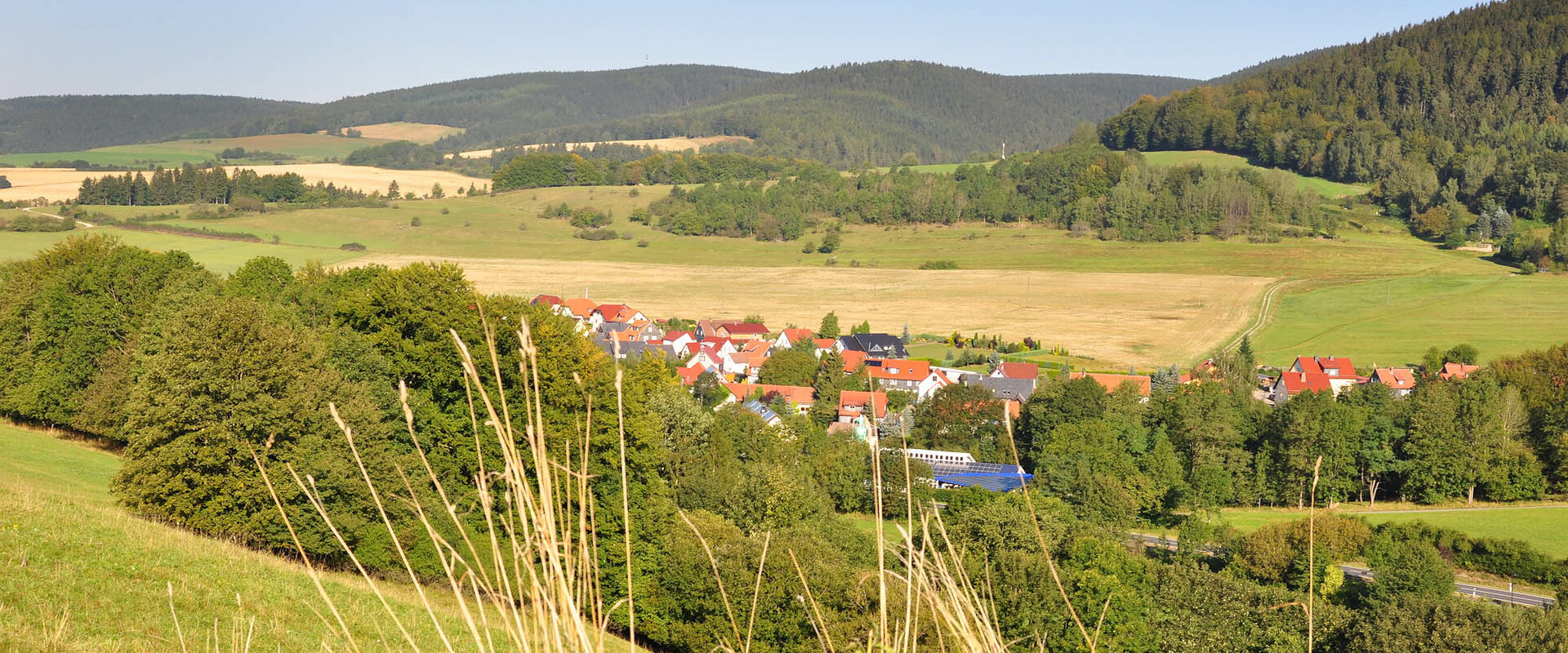Sachsenbrunn