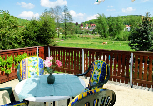 Blick von der Terrasse / Ferienhaus
