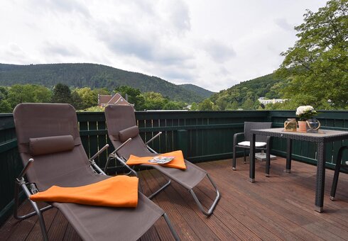 Balkon / Sonnenterrasse