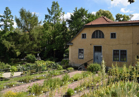 Botanischer Garten Jena