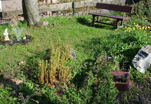 Blick in den Garten