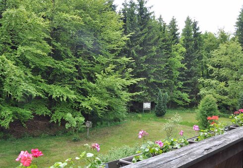 Blick vom Gästezimmer Pfingstweide