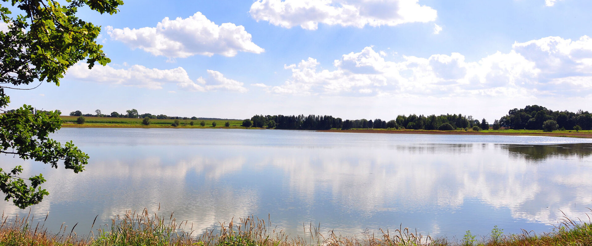 Plothener Teichgebiet