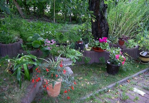 Garten