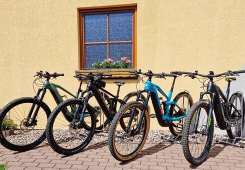 Auswahl aus merheren E-Bikes